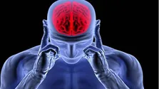 تحقیقات جدید در خصوص فعالیت مغز در هنگام خواب