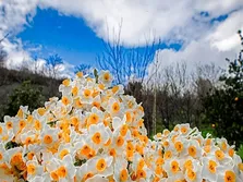 علائم غیرمعمولی که نشان می‌دهد دچار مشکل قلبی هستید