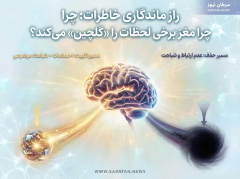 راز ماندگاری خاطرات: چرا مغز برخی لحظات را «گلچین» می‌کند و بقیه را دور می‌ریزد؟
