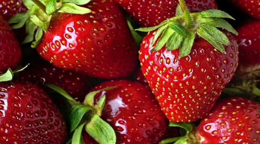 خواص توت فرنگی در سلامت/ ضد سرطان و بیماری‌های قلبی