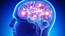 گرما چه تاثیراتی بر روی مغز انسان ها می گذارد؟