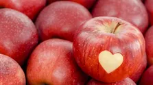 آیا استرس می‌تواند شما را به سرطان مبتلا کند؟