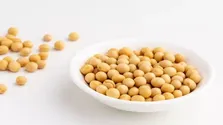 آیا ماهی‌های پرورشی ایران به اندازه‌ی کافی امگا۳ دارند؟