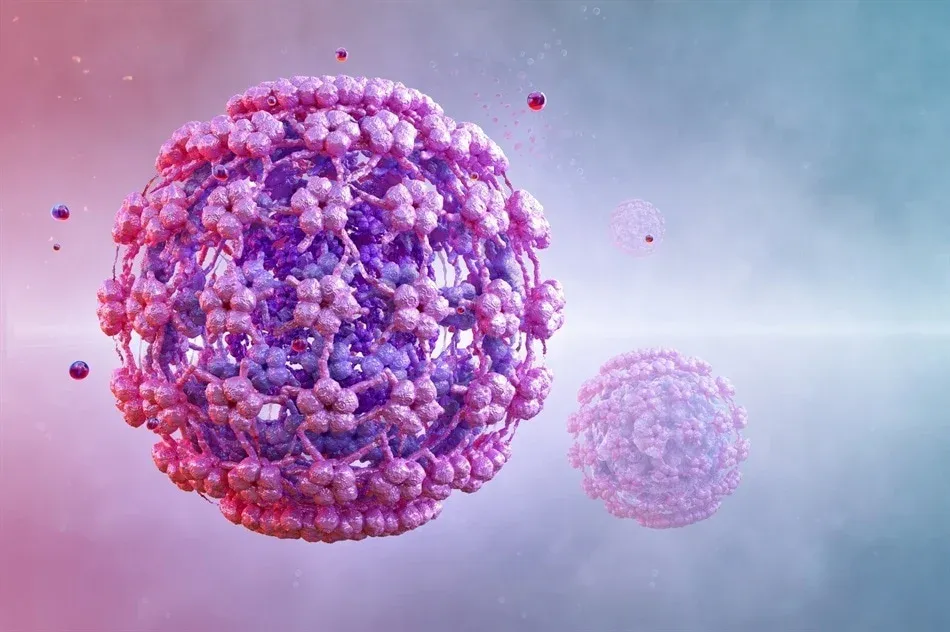انتقال HPV از استخر و سرویس‌های بهداشتی عمومی واقعیت ندارد!