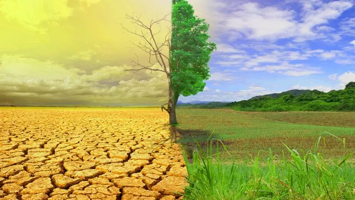 تغییرات اقلیمی احتمال همه گیری‌هایی مانند کرونا را افزایش می‌دهند