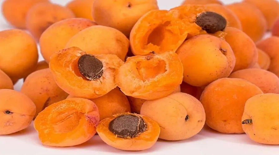 پاک سازی یک سال سموم در روده بزرگ با خوردن زرد آلو