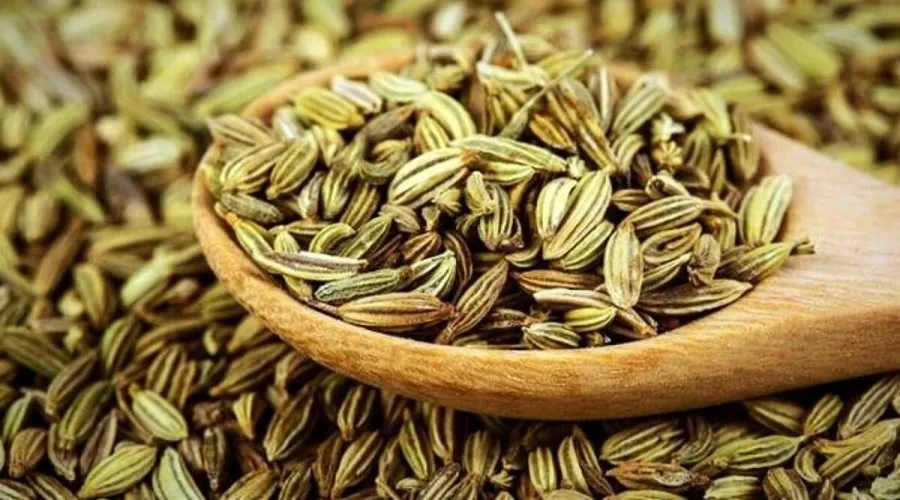 خاصیت ضد سرطانی و ضد باکتریائی زیره سبز