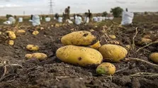 این نوشیدنی‌های خوشمزه را با دارو نخورید؛ جانتان به خطر می‌افتد!