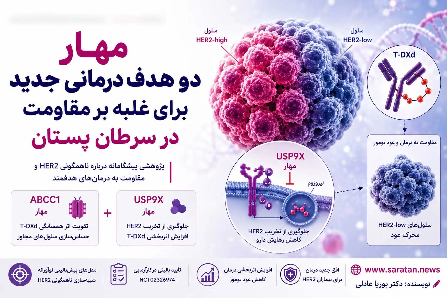 ناهمگونی HER2؛ حلقه گمشده مقاومت به درمان در سرطان پستان