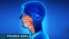 بیماری یک مادر بر جامعه اثرگذار است