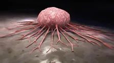 استفاده دارویی از یک ماده شیمیایی محبوب