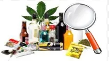 چرا تخمه شکستن لذت بخش است؟/ اعتیاد به مواد غذایی