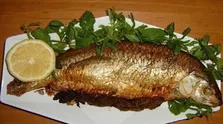 دارویار ۱۲۰ همت بودجه نیاز دارد/ ممکن است دچار چالش شویم