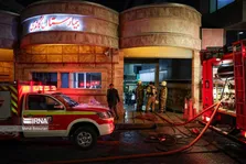 گیاه خوشبوی ضد سرطان