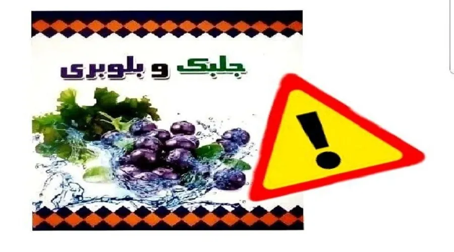هشدار سازمان غذا و دارو نسبت به فرآورده چربی‌سوز جلبک و بلوبری