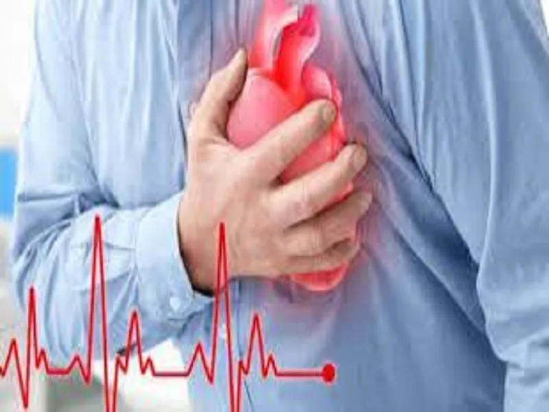 ۵۰ درصد مرگ و میر گیلان ناشی از بیماری قلبی و عروقی است