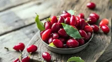 نحوه شناسایی مکمل‌های تقلبی + فیلم