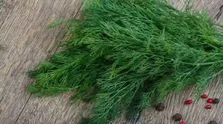لاغری با رازیانه در هفت روز