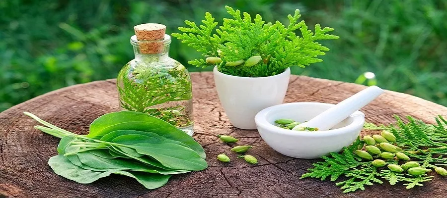 دارو‌های گیاهی را خودسرانه مصرف نکنید