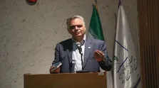 دولت و مجلس نیم نگاهی به مشکلات پرستاران داشته باشند