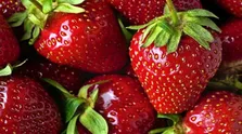 افزایش سطح انرژی بدن با این ۷ ماده غذایی