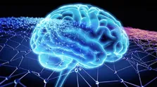 ارتباط بین التهاب و بیماری آلزایمر