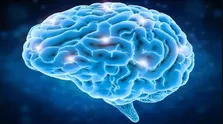 افزایش افسردگی، آلزایمر و زوال عقل در سالمندان؛ بیماری‌هایی که علاج دارد 