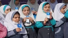 جزئیات دریافت یارانه مواد غذایی