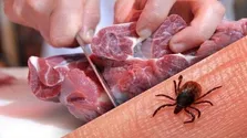 خبر خوش بهزیستی برای بیماران مبتلا به PKU/ احتمال افزایش ۴۰ درصدی کمک‌های بهزیستی