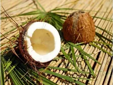۶ جایگزین قند طبیعی عالی برای یک رژیم غذایی سالم