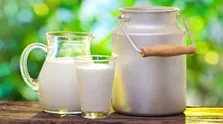 کودکان چگونه قد بلند می شوند/نقش لبنیات در رشد قد