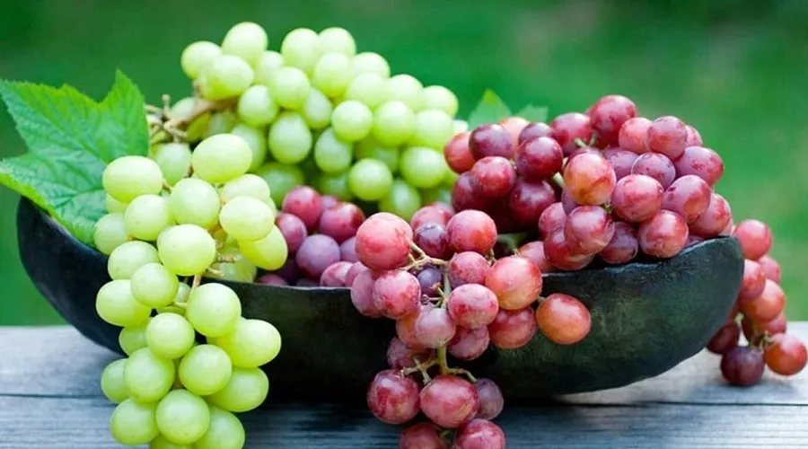 با این میوه دیگر آلزایمر نمی گیرید