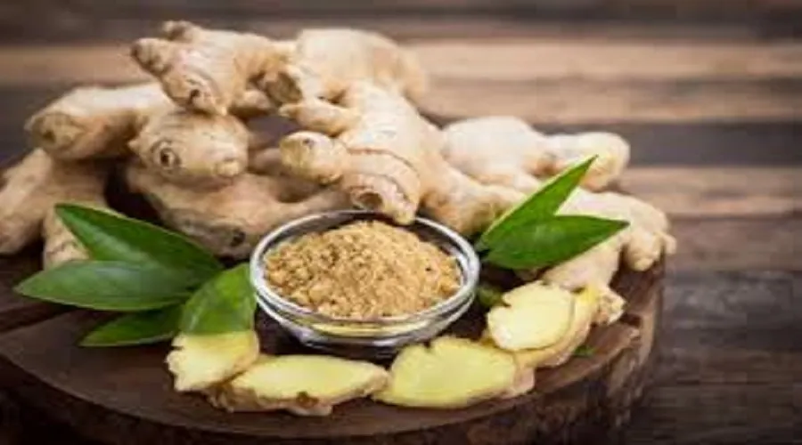بهترین داروی گیاهی برای جلوگیری از سرطان روده چیست؟