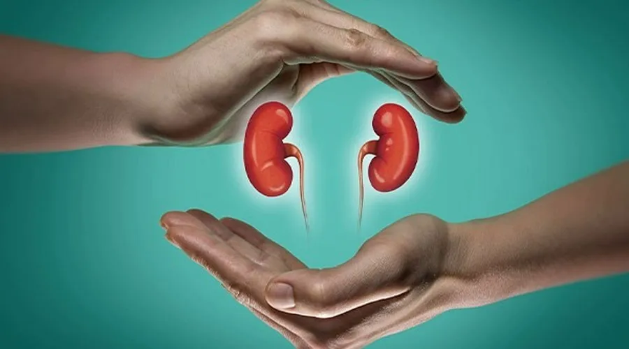 نحوه تقویت کلیه در طب سنتی