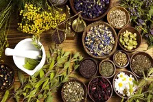 دو داروی گیاهی جدید رونمایی شدند