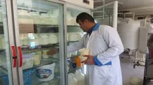 کودکان چگونه قد بلند می شوند/نقش لبنیات در رشد قد