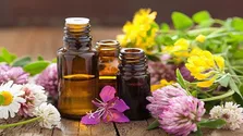 خواص سنبل الطیب؛ فواید گیاه علف گربه برای اعصاب و قلب