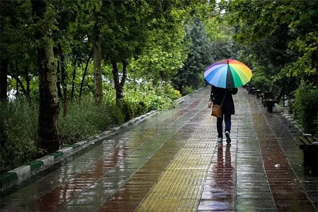 ۷۵ درصد از بیماران میگرنی سابقه ارثی دارند