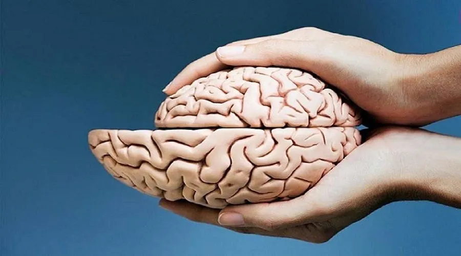 ارتباط نور زیاد در شب و افزایش خطر ابتلا به آلزایمر