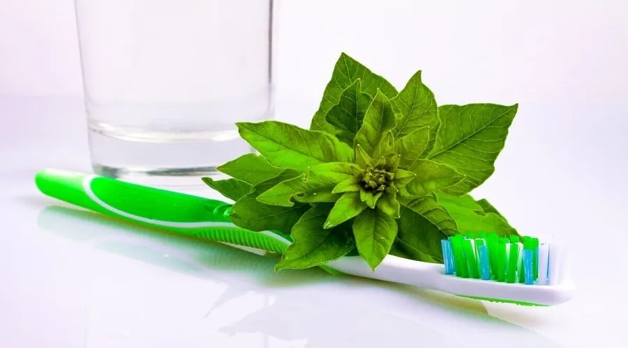 ۱۱ خوراکی گیاهی برای آنکه کمتر دندانپزشکی بروید!