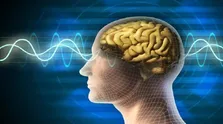 آلزایمر؛ یکسال تشخیص زودهنگام پنج سال کاهش اختلالات بیماری