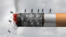 دخانیات و مخاطرات آن برای مادران باردار؛ از کاهش میزان باروری تا مرگ یا سقط جنین