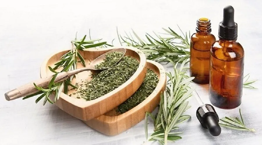 رزماری از ایجاد مواد سرطان‌زا در گوشت جلوگیری می‌کند