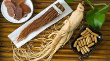 خواص درمانی گیاه «سنا» از دیدگاه طب سنتی