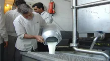 خواص درمانی ریحان از دیدگاه طب سنتی