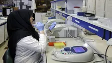 جزئیات مرحله دوم آزمون دکتری ۱۴۰۴؛ مصاحبه‌ها حضوری انجام می‌شود