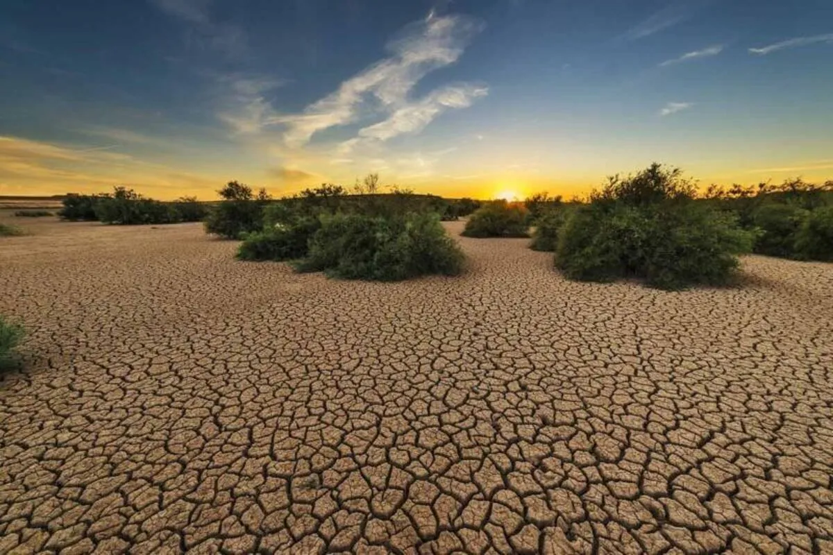 روز جهانی بیابانزادیی: درمان زمین، درمان زندگی