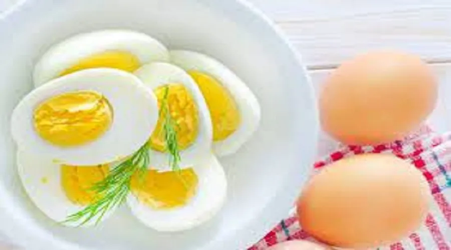 خوردن روزی چند تخم‌مرغ بدون اشکال است؟