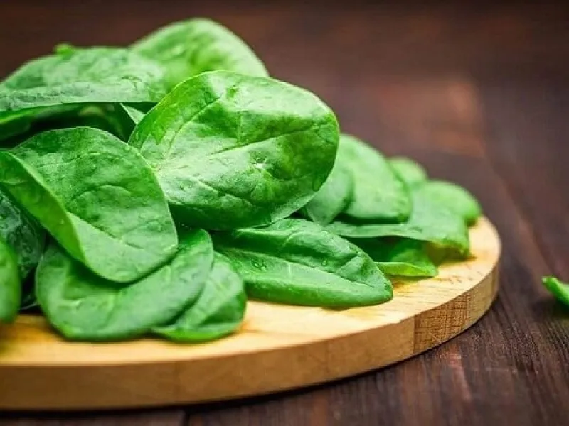 نکات مهم درمورد مصرف اسفناج از دید طب سنتی