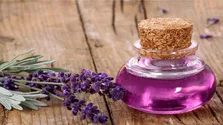 این گیاه دارویی کبدتان را نجات می‌دهد و در گرما خنک‌تان می‌کند
